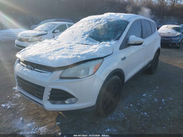 2013 FORD ESCAPE 1FMCU0HX4DUD71062 Photo 1