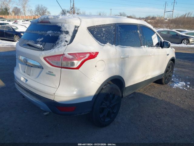 2013 FORD ESCAPE 1FMCU0HX4DUD71062 Photo 3
