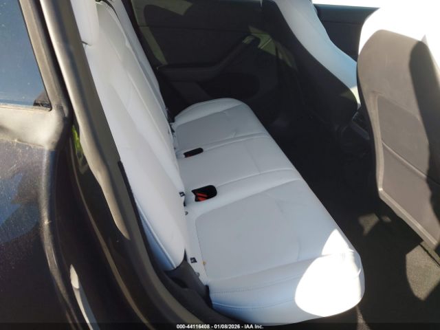 2024 TESLA MODEL Y 7SAYGDEE0RA331282 Photo 7