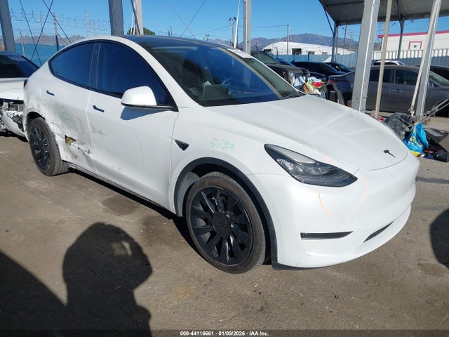 2023 TESLA MODEL Y 7SAYGDEE1PA096937 Photo 0