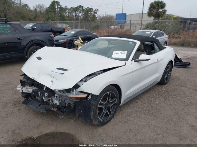 2019 FORD MUSTANG 1FATP8UH6K5106522 Photo 1