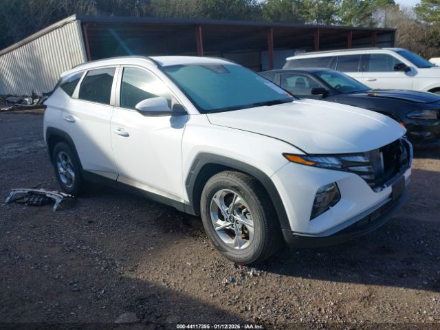 2024 HYUNDAI TUCSON 5NMJB3DE5RH422624