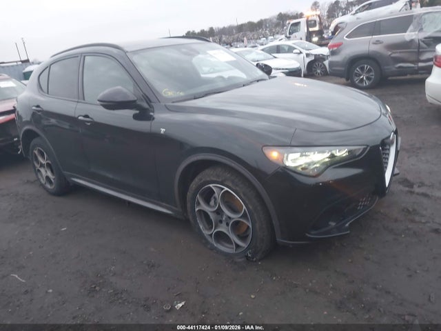 2024 ALFA ROMEO STELVIO ZASPAKBN3R7D76302
