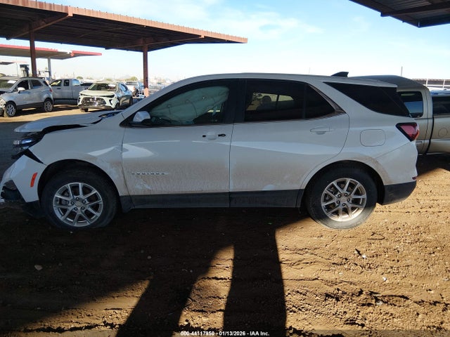 3GNAXUEG7RL242966 Chevrolet Equinox Awd Lt