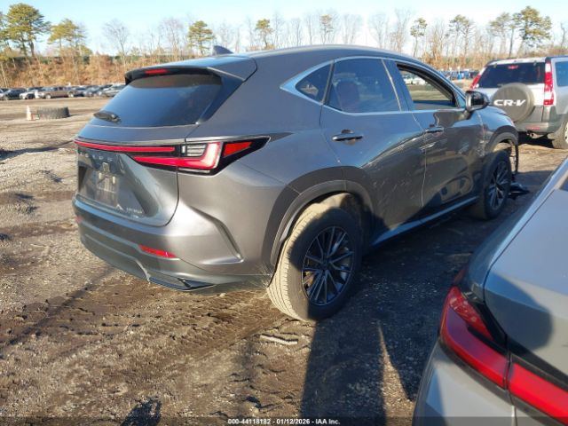 2023 LEXUS NX 350 2T2GGCEZXPC024837 Photo 3