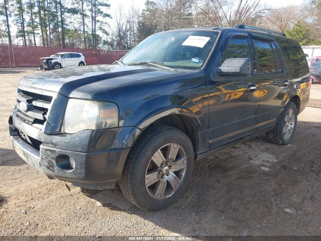 2010 FORD EXPEDITION 1FMJU1K5XAEB70809 Photo 1