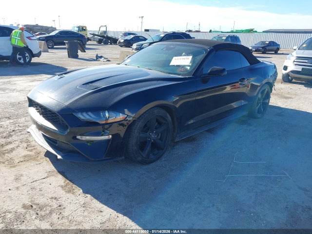 2021 FORD MUSTANG 1FATP8UH4M5153146 Photo 1