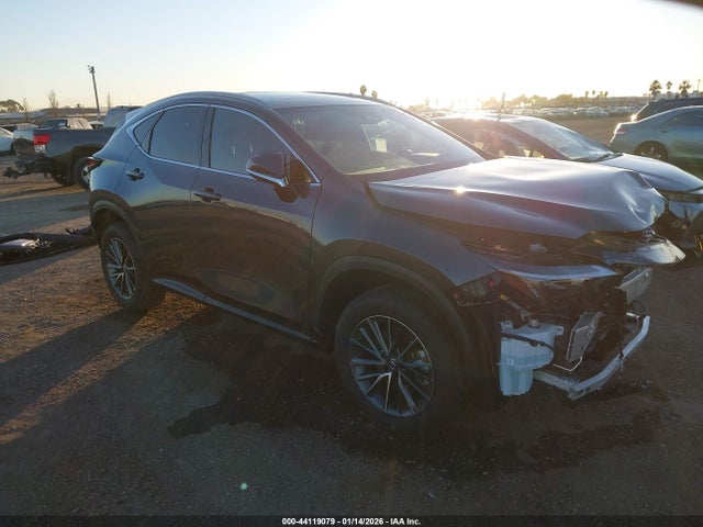 2025 LEXUS NX 250 2T2ADCAZXSC027055