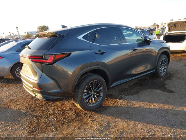 2025 LEXUS NX 250 2T2ADCAZXSC027055 Photo 3