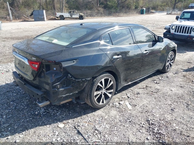 1N4AA6AP8JC389153 Nissan Maxima 3.5 Sv