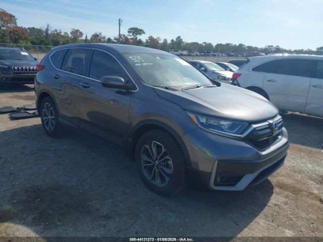 2020 HONDA CR-V 5J6RW1H80LA019372