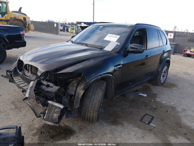 2010 BMW X5 M 5YMGY0C57ALK25568 Photo 1