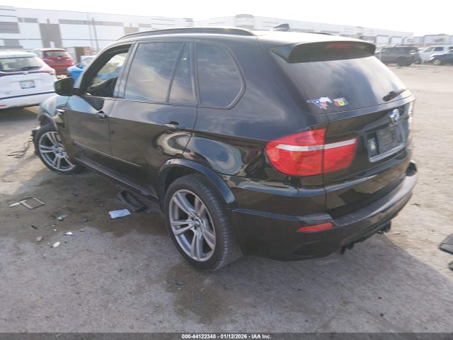 2010 BMW X5 M 5YMGY0C57ALK25568 Photo 2