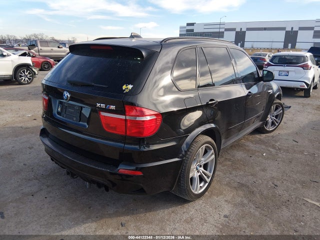 2010 BMW X5 M 5YMGY0C57ALK25568 Photo 3