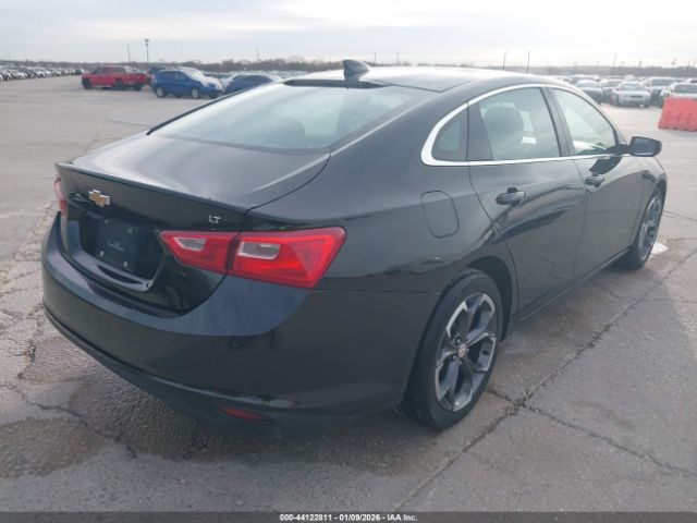 2023 CHEVROLET MALIBU 1G1ZD5ST3PF244063 Photo 3