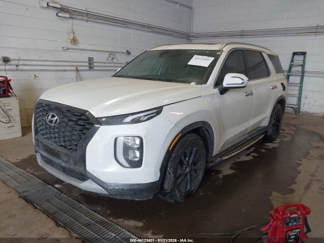 2020 HYUNDAI PALISADE KM8R2DHE1LU150474 Photo 1