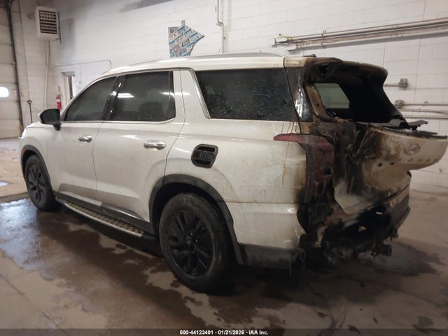 2020 HYUNDAI PALISADE KM8R2DHE1LU150474 Photo 2