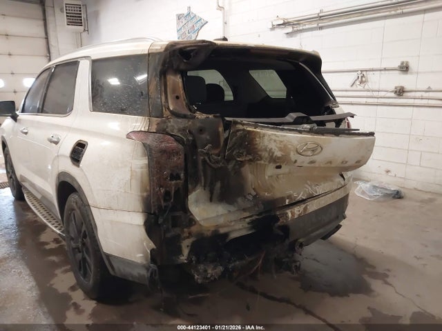 2020 HYUNDAI PALISADE KM8R2DHE1LU150474 Photo 5