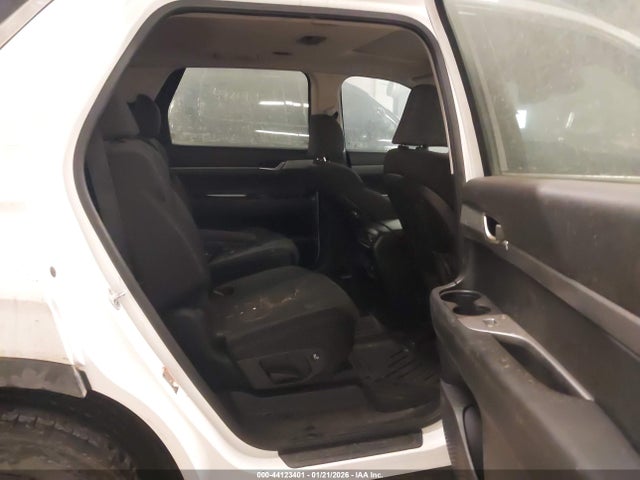 2020 HYUNDAI PALISADE KM8R2DHE1LU150474 Photo 7