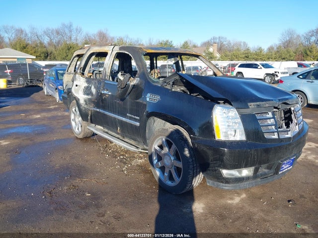 2011 CADILLAC ESCALADE 1GYS4BEF2BR140825