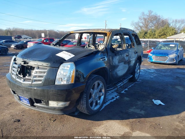 2011 CADILLAC ESCALADE 1GYS4BEF2BR140825 Photo 1