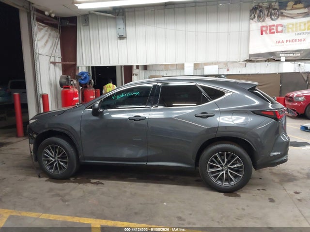 Lexus Nx 350 Premium 2024 2T2GGCEZ3RC046424 Image 15