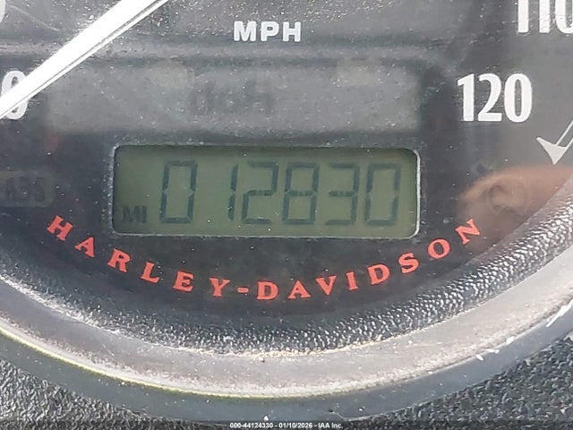 1HD1GS819HC306275 Harley-Davidson FXDLS