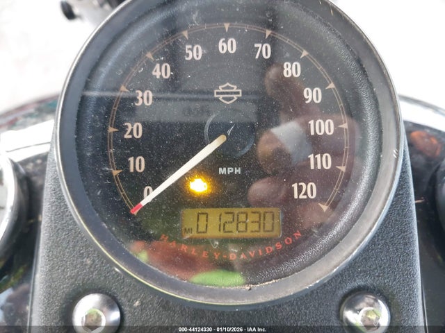 1HD1GS819HC306275 Harley-Davidson FXDLS