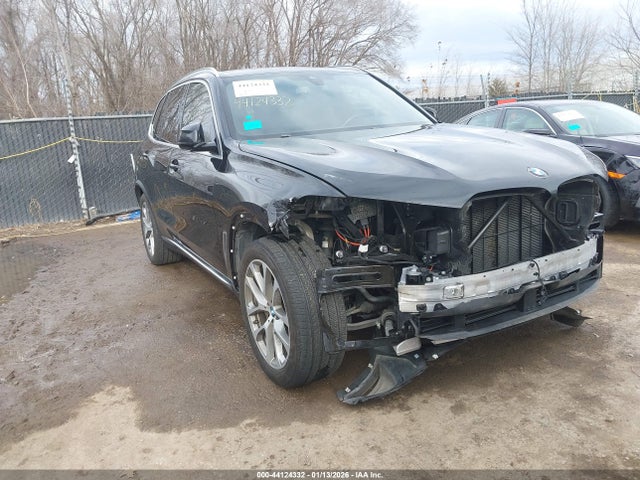 2019 BMW X5 5UXCR6C5XKLL53925