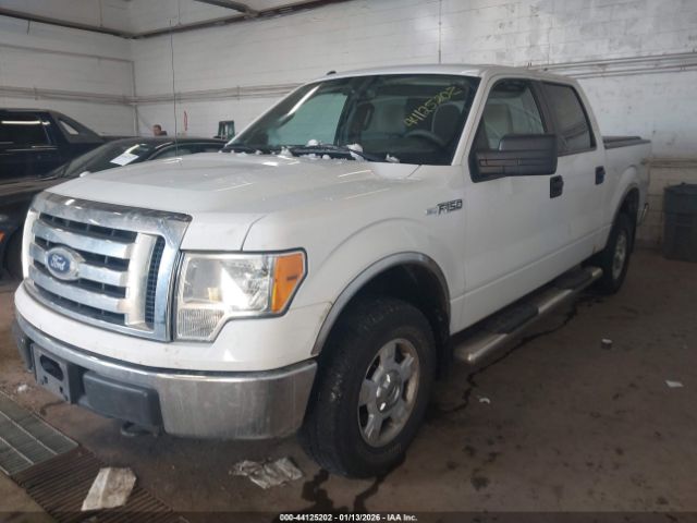 2010 FORD F-150 1FTEW1E84AFD91404 Photo 1
