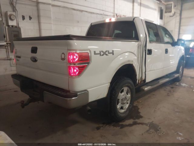 2010 FORD F-150 1FTEW1E84AFD91404 Photo 3