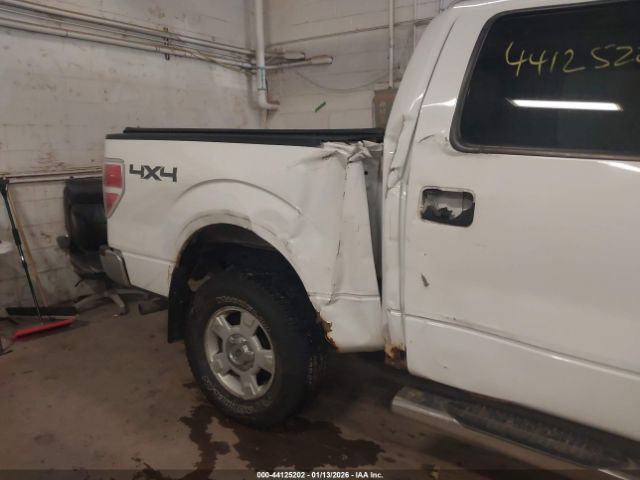 2010 FORD F-150 1FTEW1E84AFD91404 Photo 5