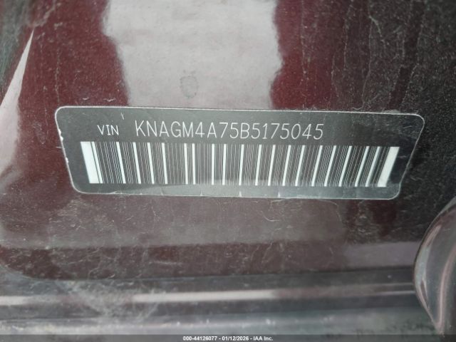 2011 KIA OPTIMA KNAGM4A75B5175045 Photo 8