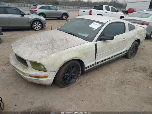 2007 FORD MUSTANG 1ZVFT80N475233322 Photo 1