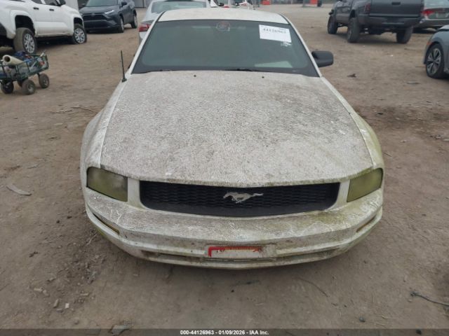2007 FORD MUSTANG 1ZVFT80N475233322 Photo 5