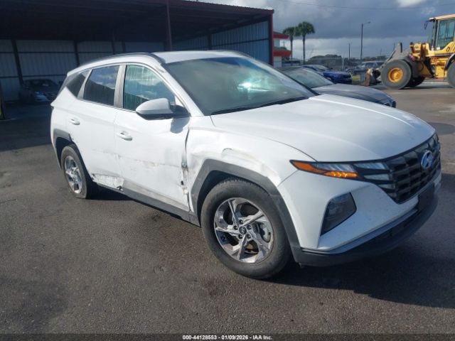2024 HYUNDAI TUCSON 5NMJB3DEXRH352506