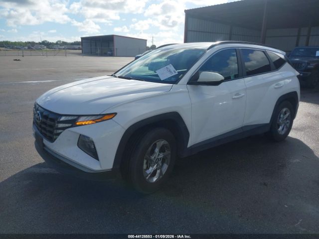 2024 HYUNDAI TUCSON 5NMJB3DEXRH352506 Photo 1