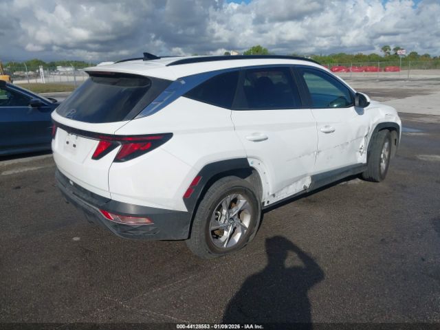 2024 HYUNDAI TUCSON 5NMJB3DEXRH352506 Photo 3