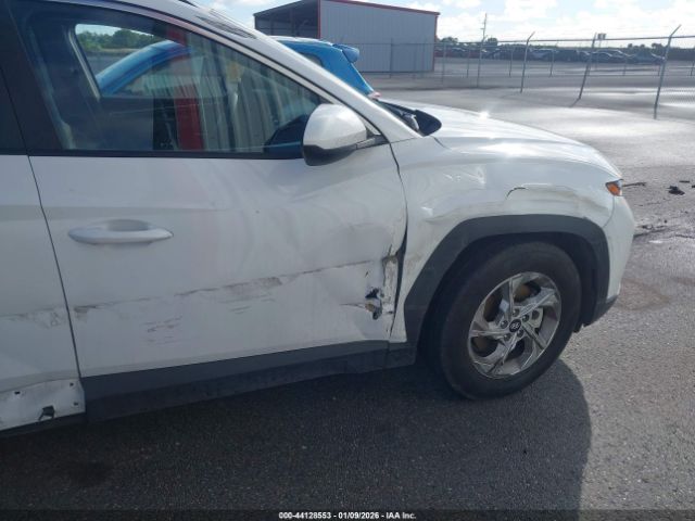 2024 HYUNDAI TUCSON 5NMJB3DEXRH352506 Photo 5