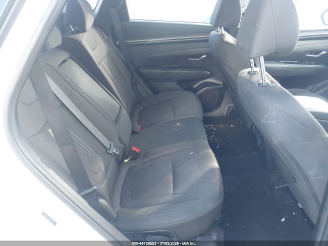 2024 HYUNDAI TUCSON 5NMJB3DEXRH352506 Photo 7