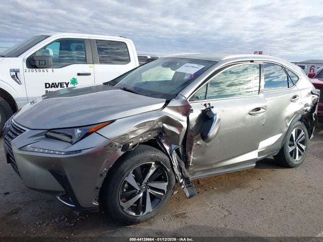 Продаж на аукціоні авто 2020 Lexus Nx 300, vin: JTJDARBZ0L2165020, номер лоту: 44128664