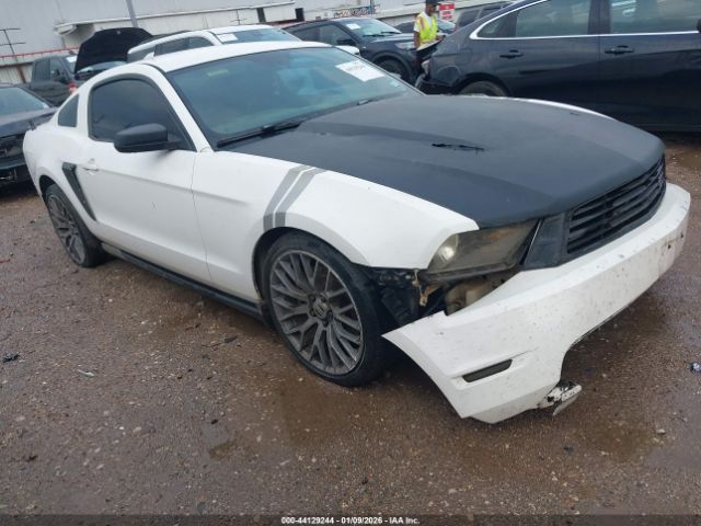 2010 FORD MUSTANG 1ZVBP8ANXA5144492