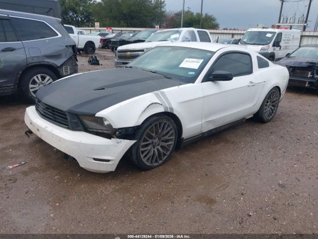 2010 FORD MUSTANG 1ZVBP8ANXA5144492 Photo 1
