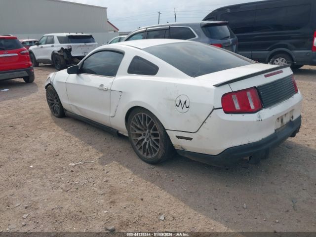 2010 FORD MUSTANG 1ZVBP8ANXA5144492 Photo 2