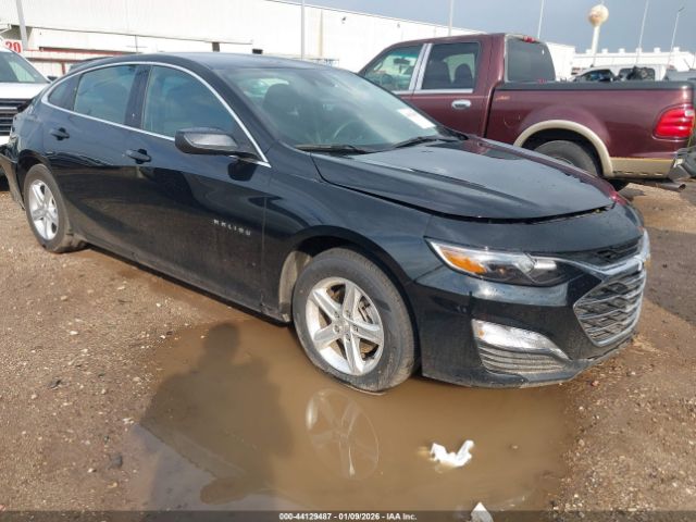 2024 CHEVROLET MALIBU 1G1ZD5ST8RF225494