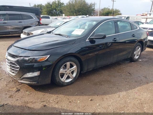2024 CHEVROLET MALIBU 1G1ZD5ST8RF225494 Photo 1