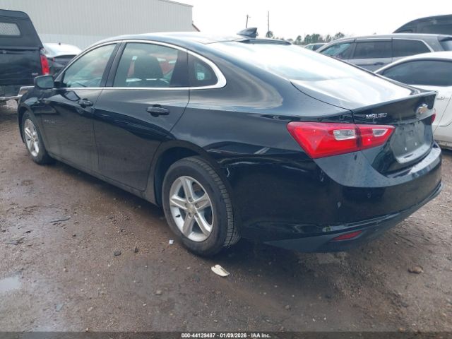 2024 CHEVROLET MALIBU 1G1ZD5ST8RF225494 Photo 2