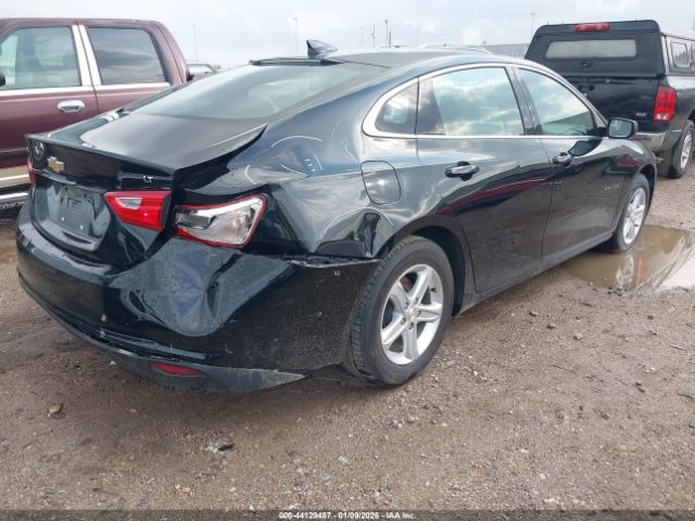 2024 CHEVROLET MALIBU 1G1ZD5ST8RF225494 Photo 3