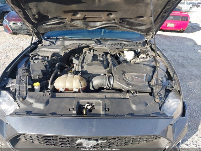 Ford Mustang Ecoboost 2019 1FA6P8TH8K5115253 Image 10