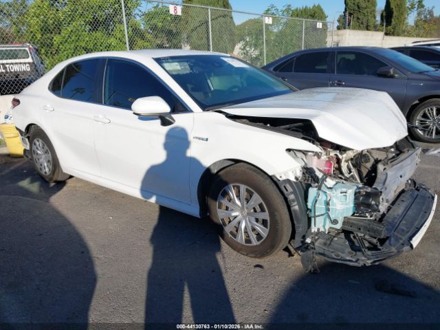 2020 TOYOTA CAMRY 4T1C31AK0LU519083